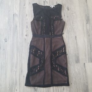 Charlotte russe dress